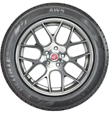 Delinte AW5 205/45 R16 87V XL